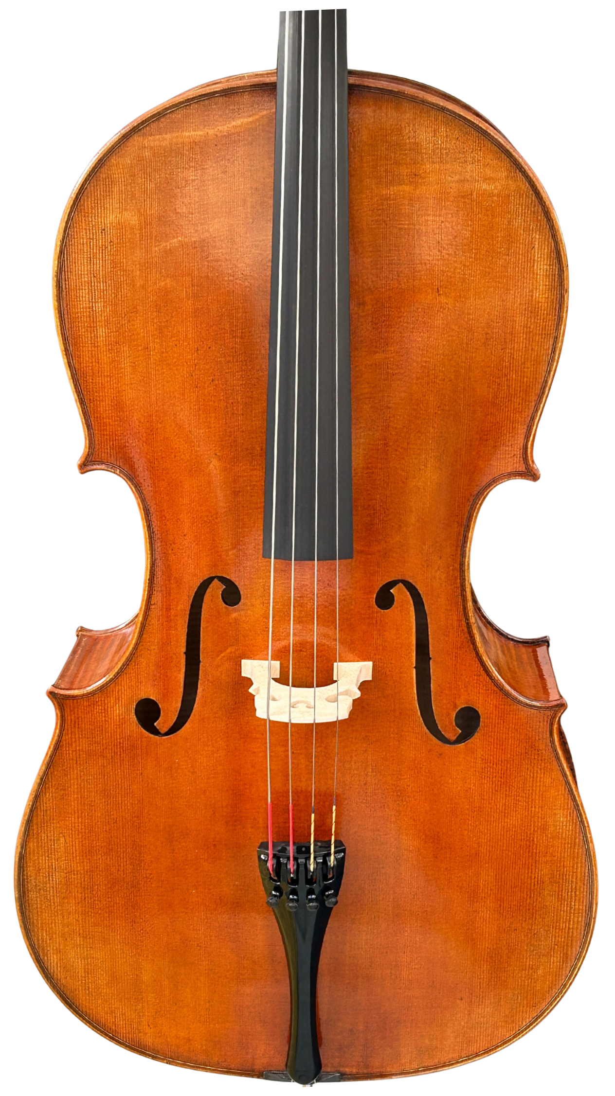 Violin 01