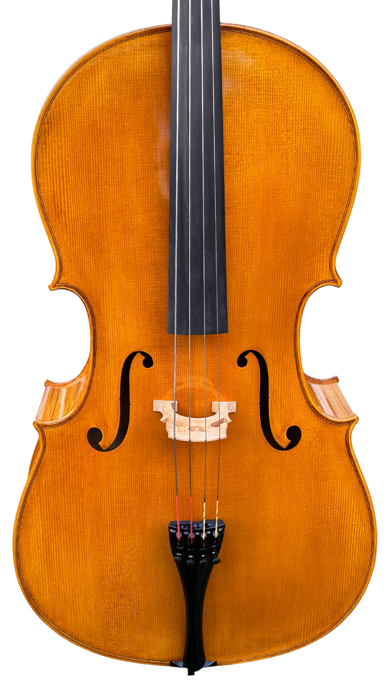 Violin 02