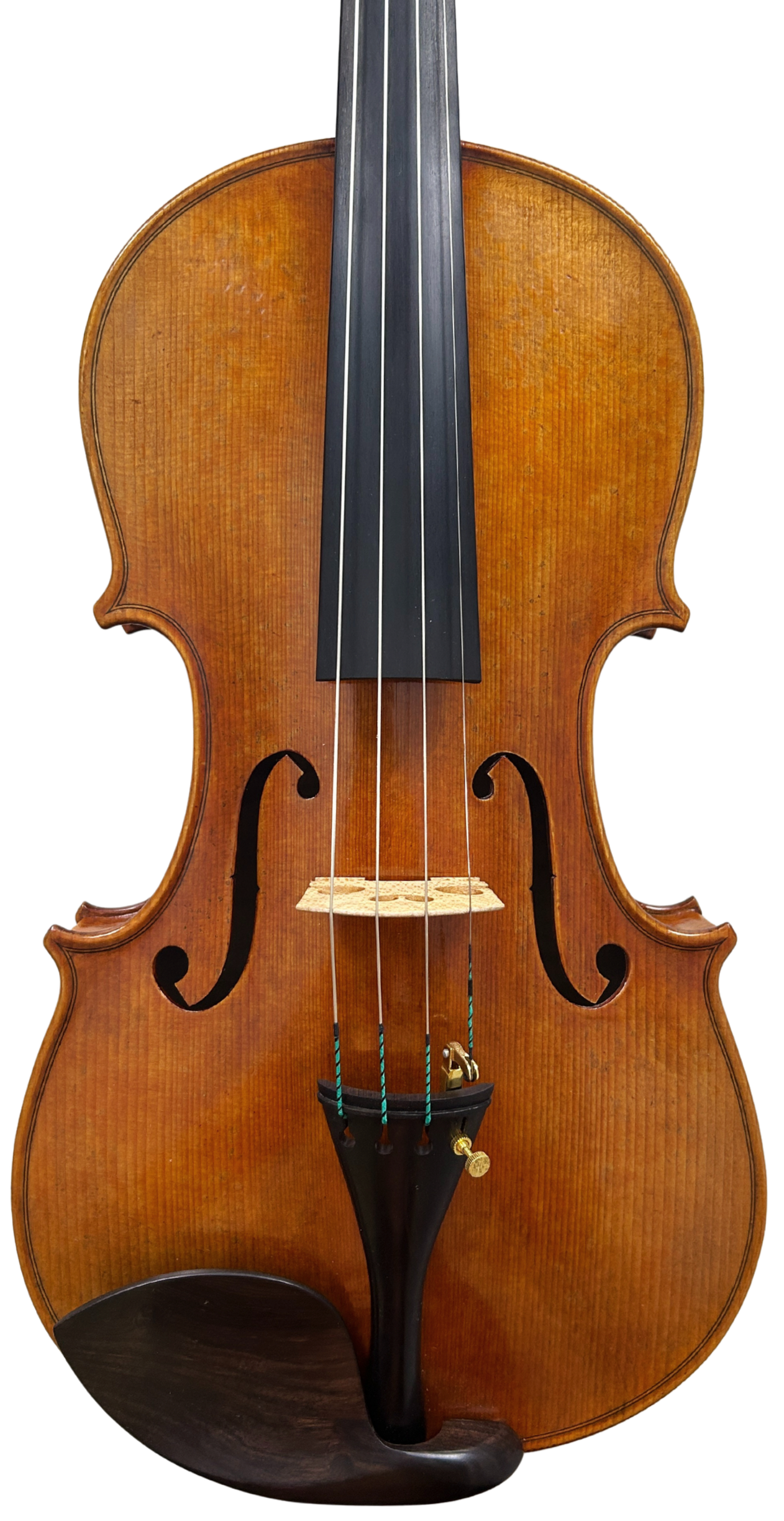 Violin 01