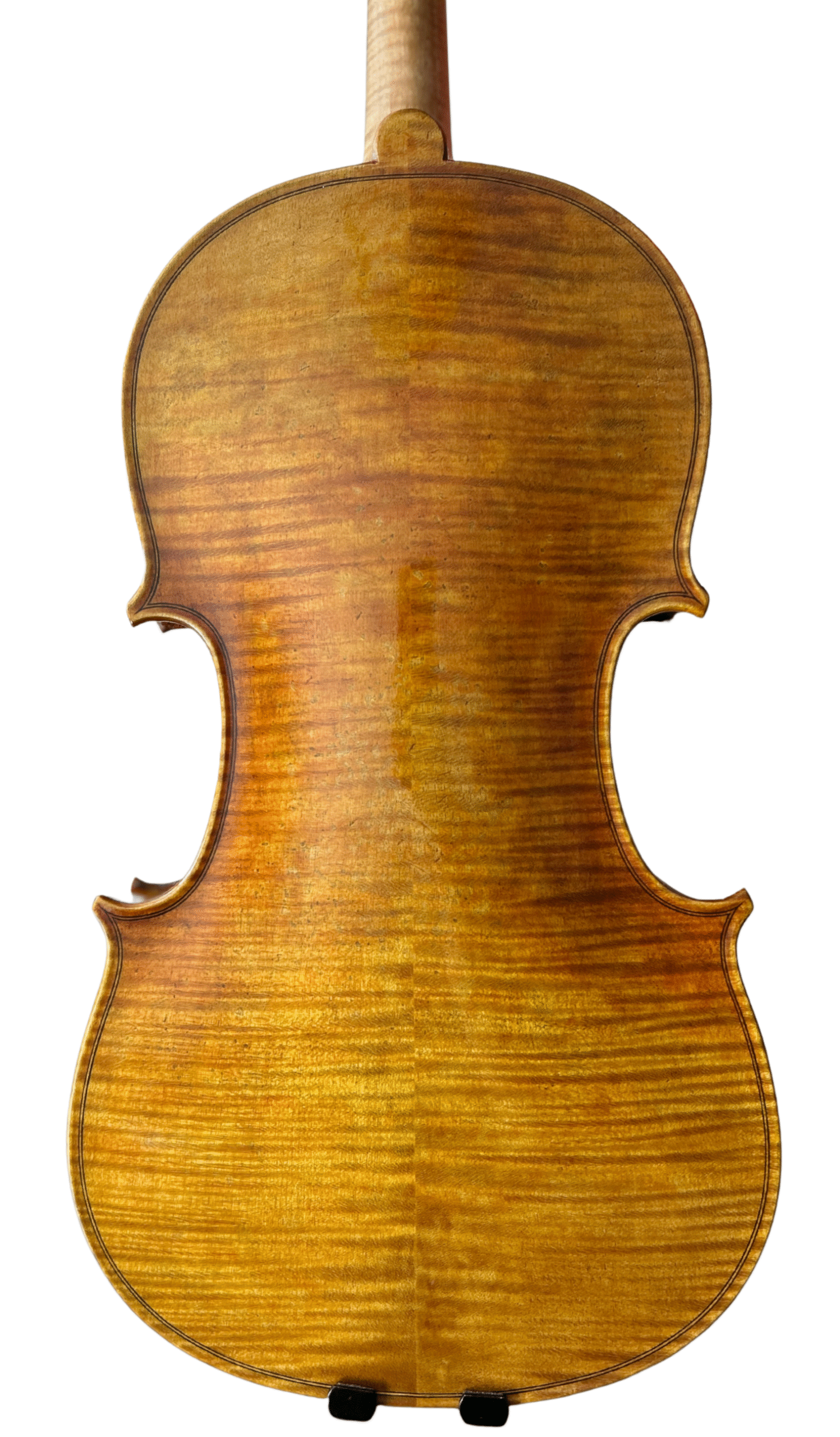 Violin 03