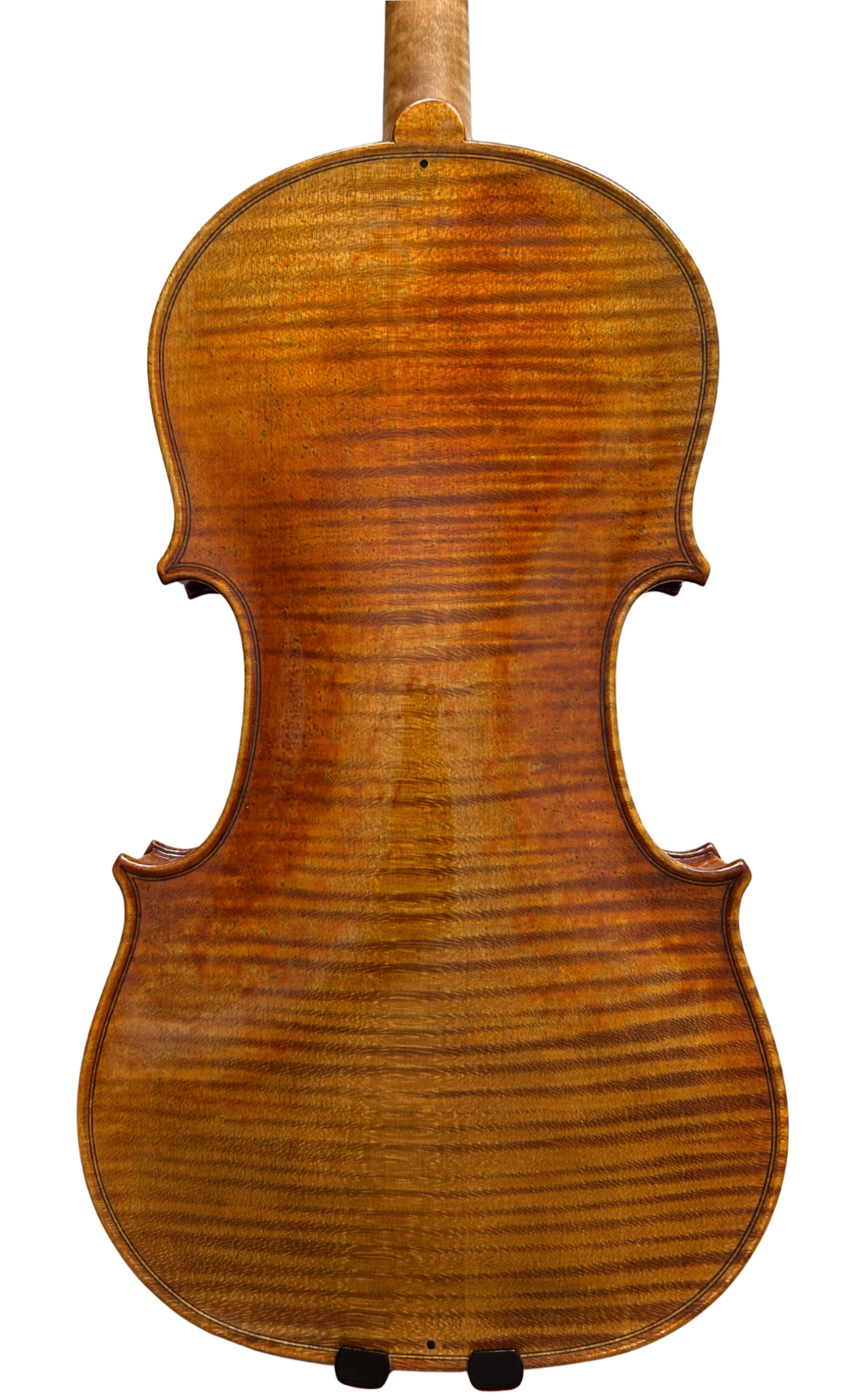Violin 05