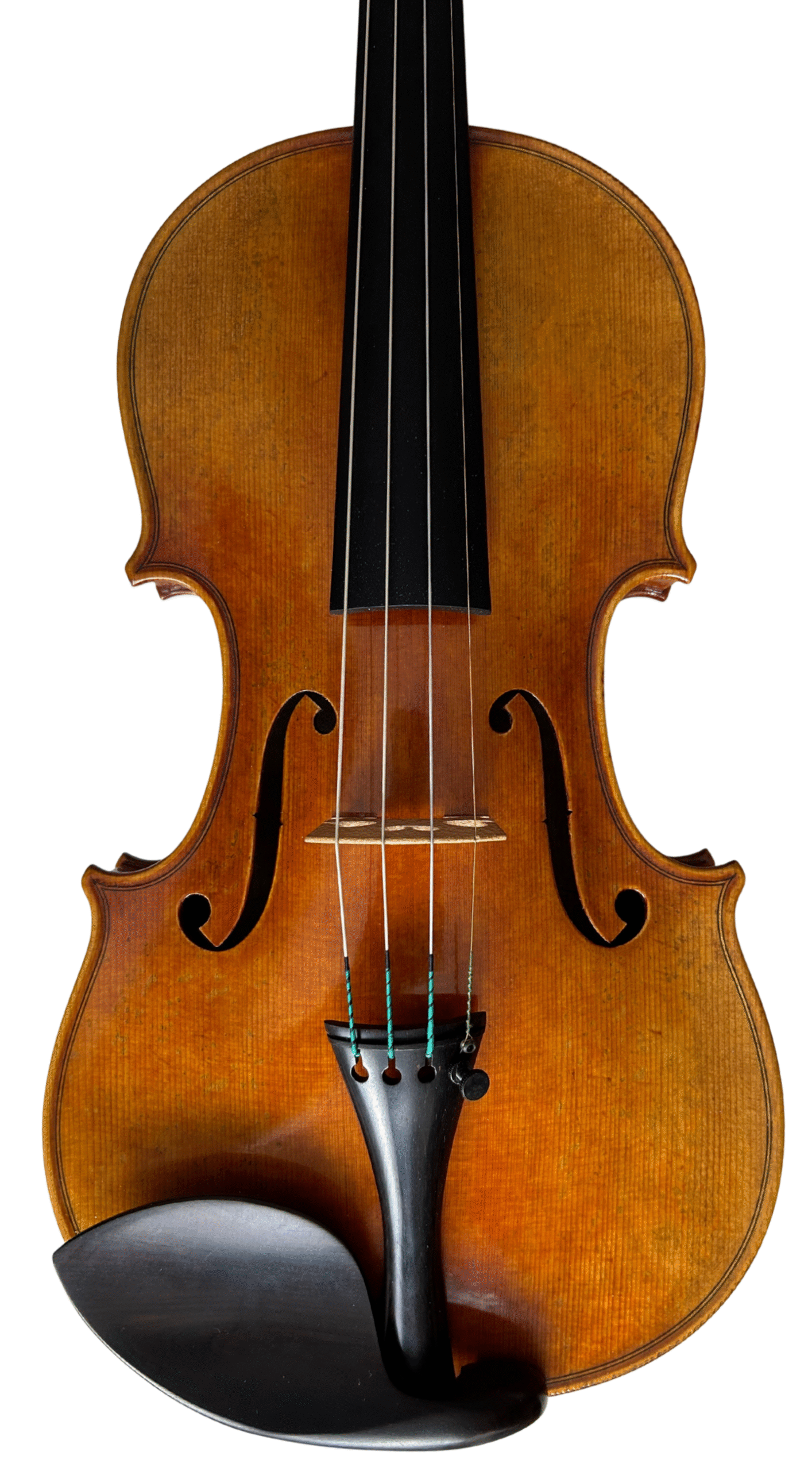 Violin 05