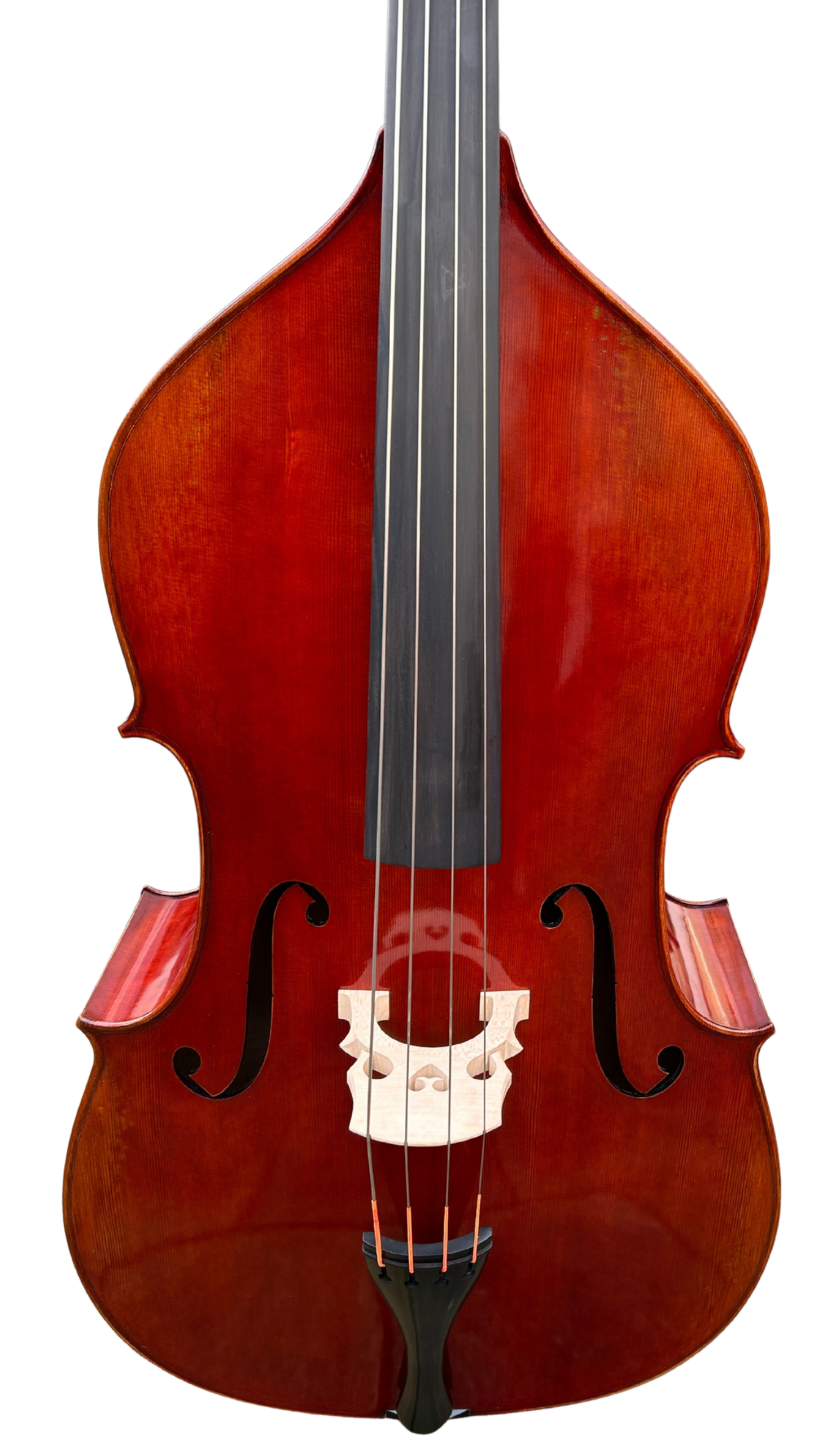 Violin 01