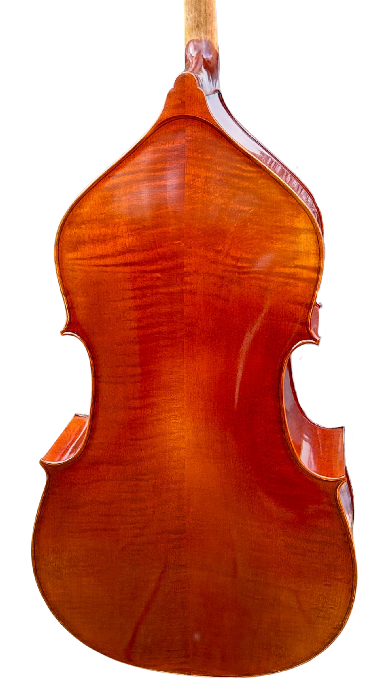 Violin 01