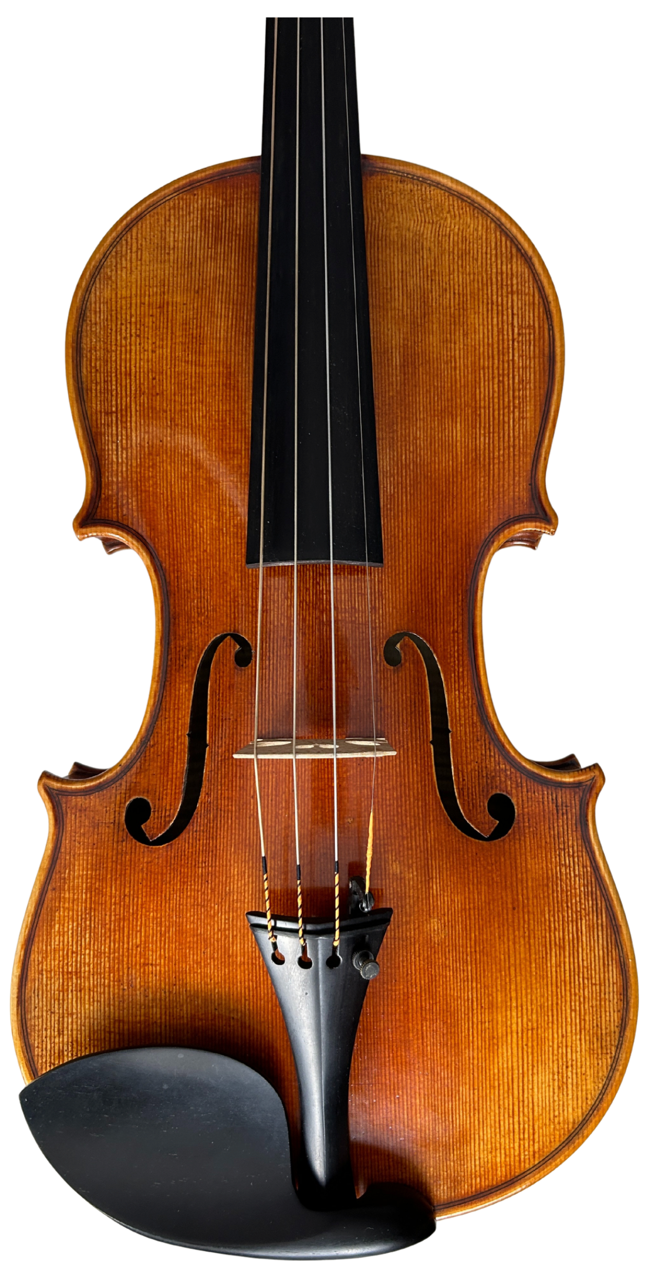 Violin 04