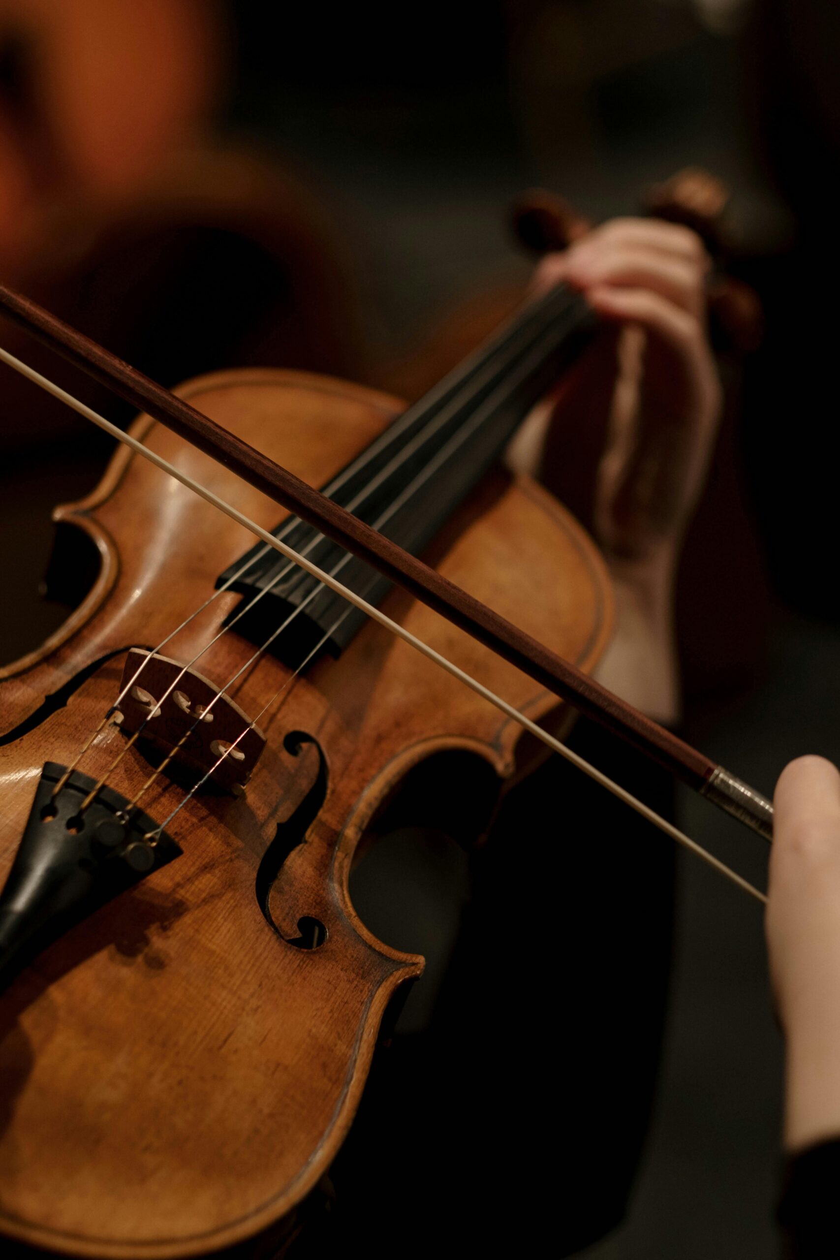 Violins
