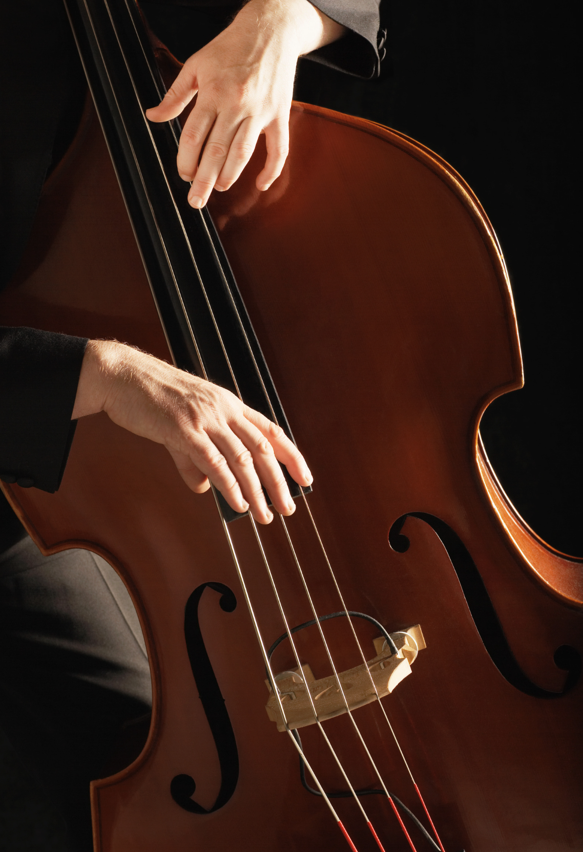 Double Basses