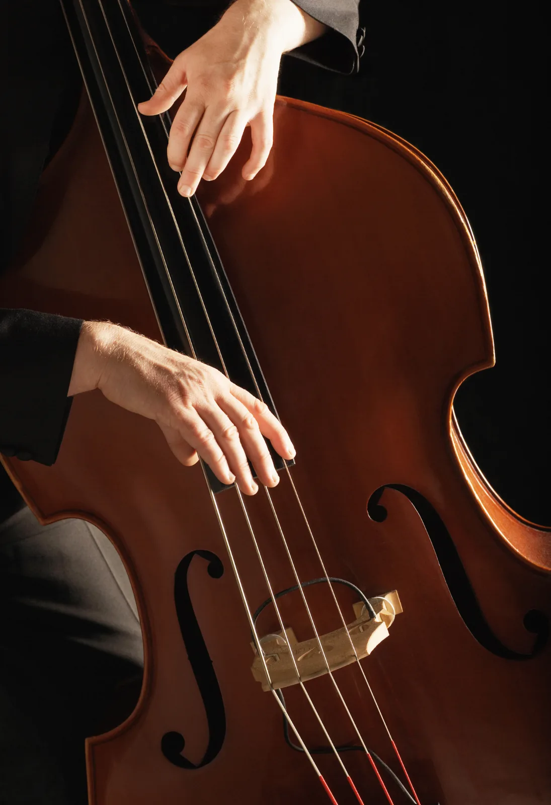 Double Basses
