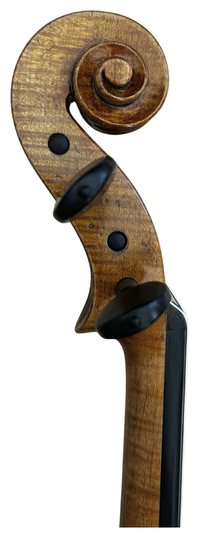 Instrument image 3
