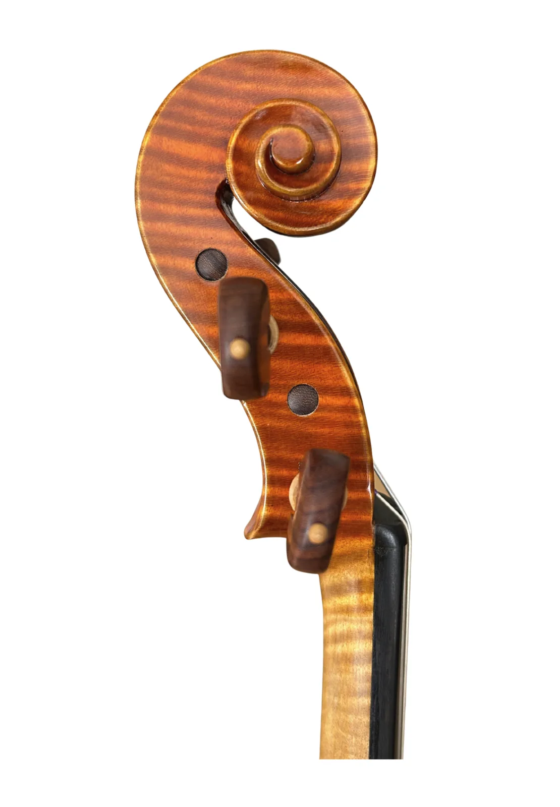 Instrument image 3