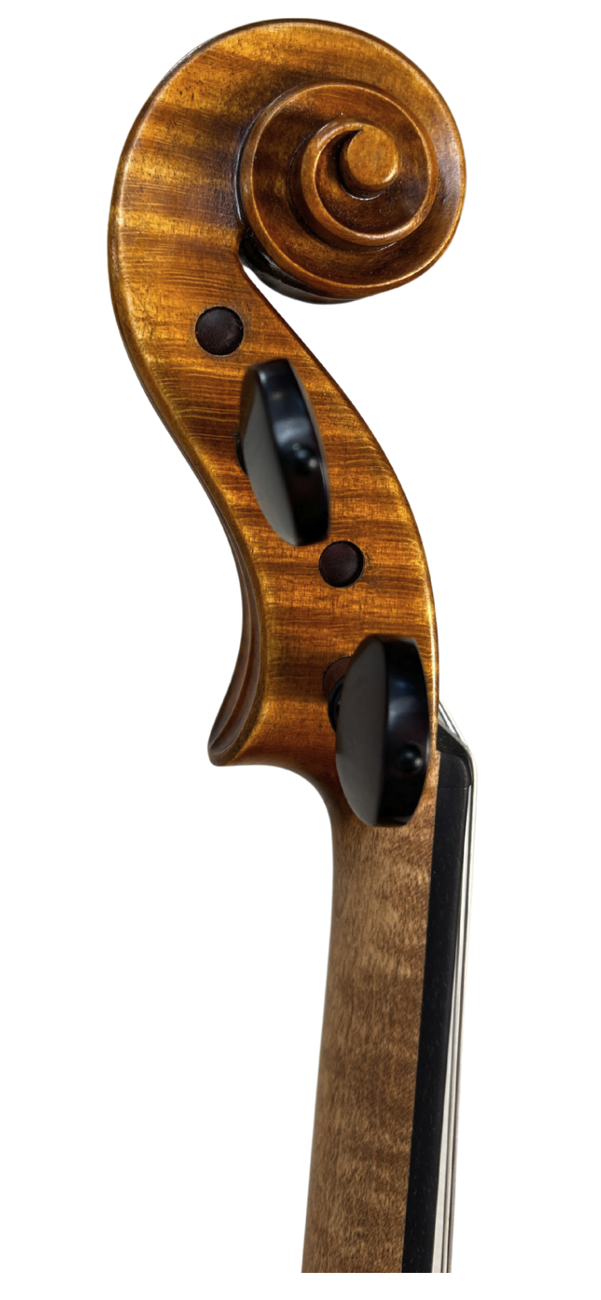 Instrument image 3