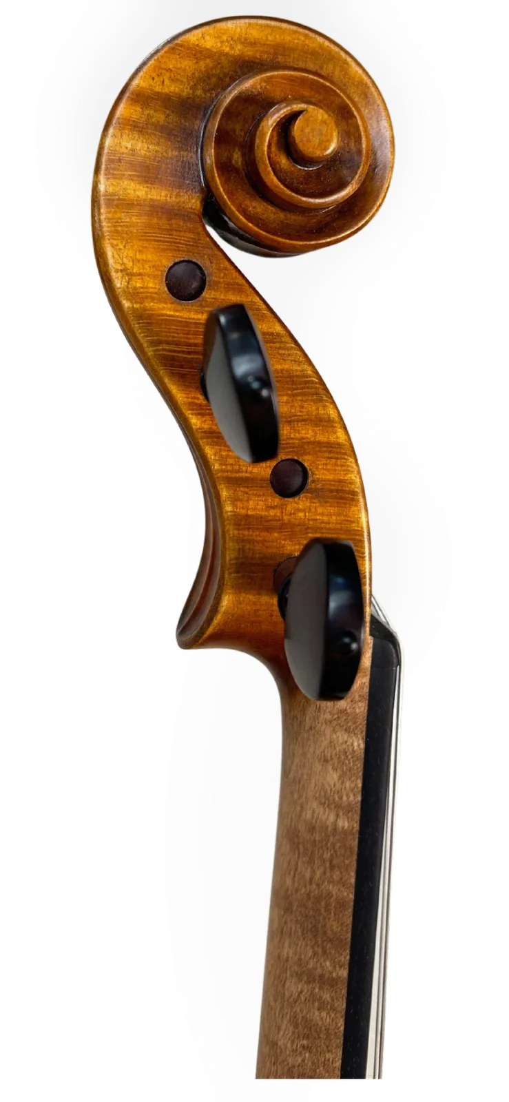 Instrument image 3