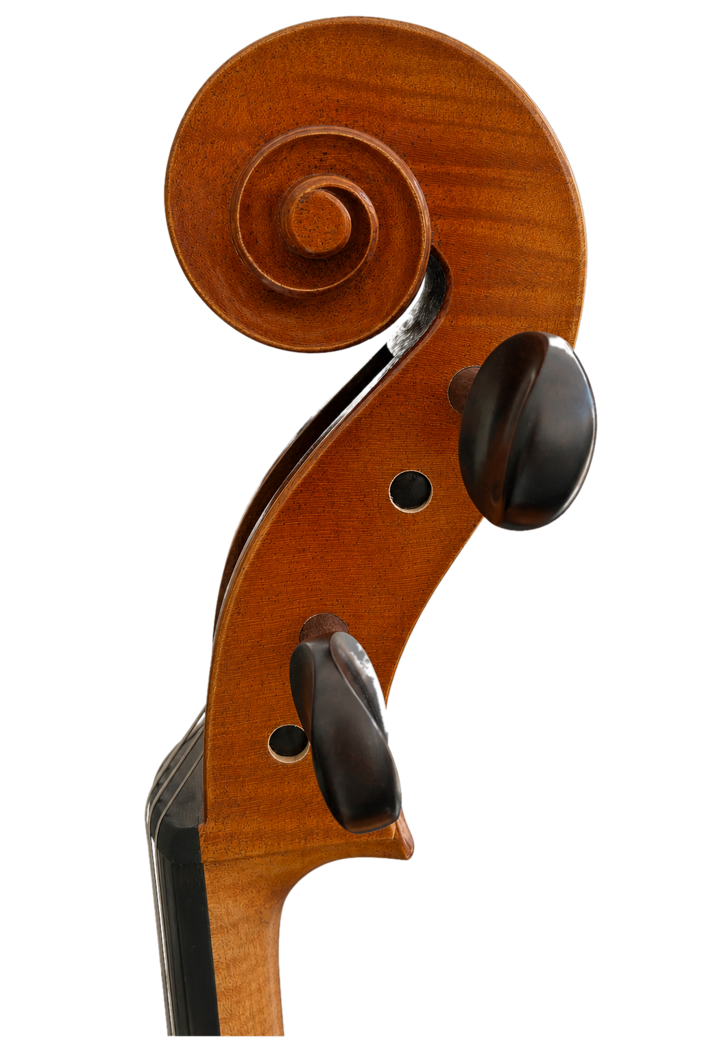 Instrument image 3