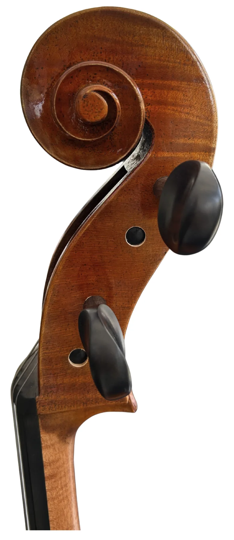 Instrument image 3