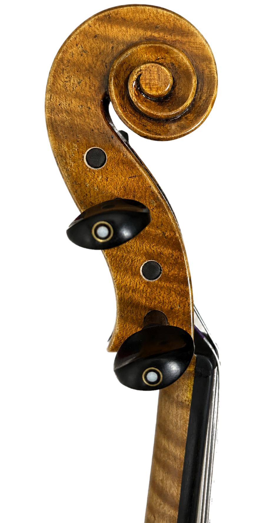 Instrument image 3