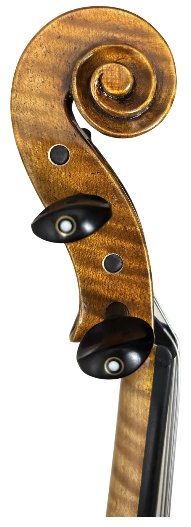 Instrument image 3