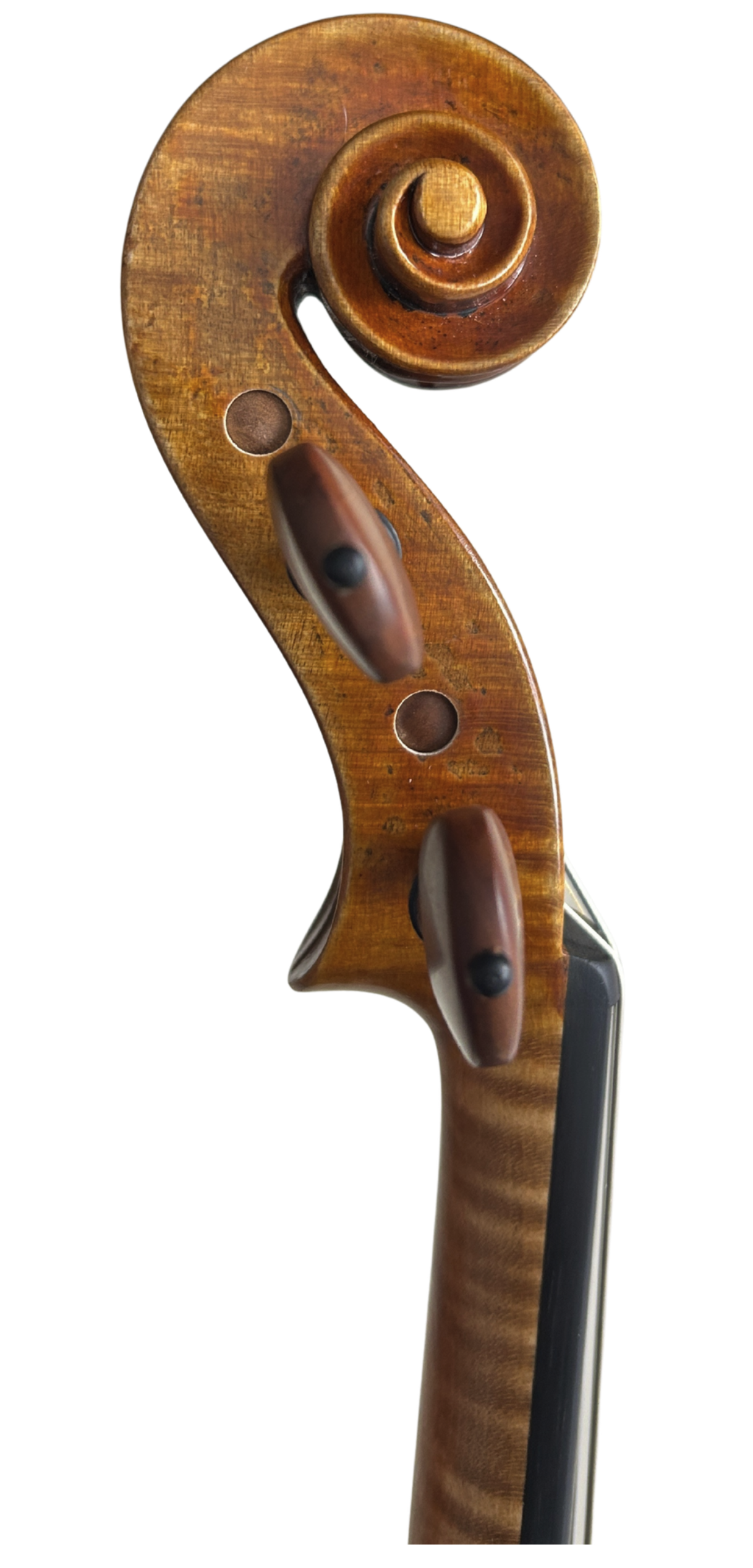 Instrument image 3