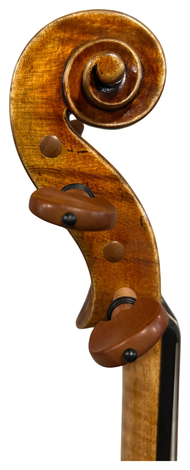 Instrument image 3