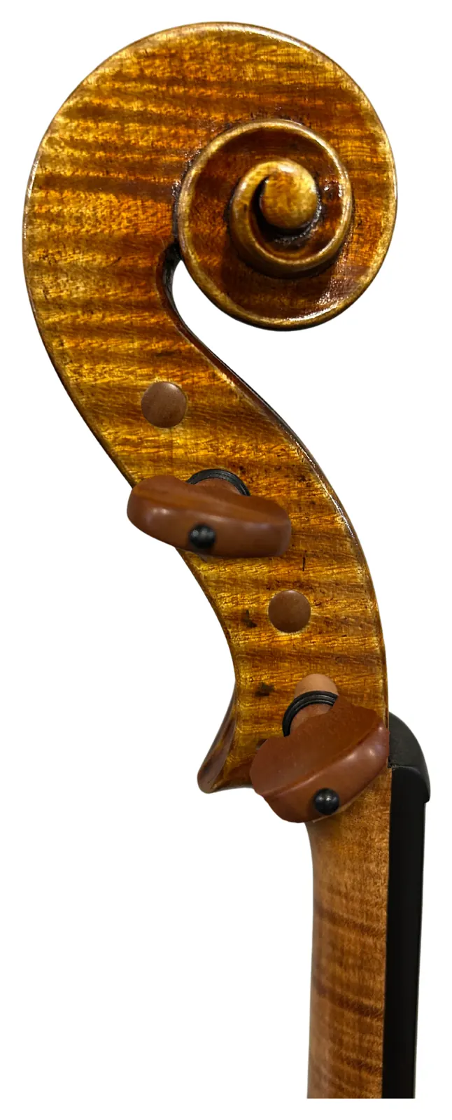 Instrument image 3