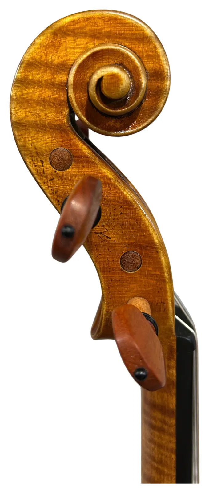 Instrument image 3