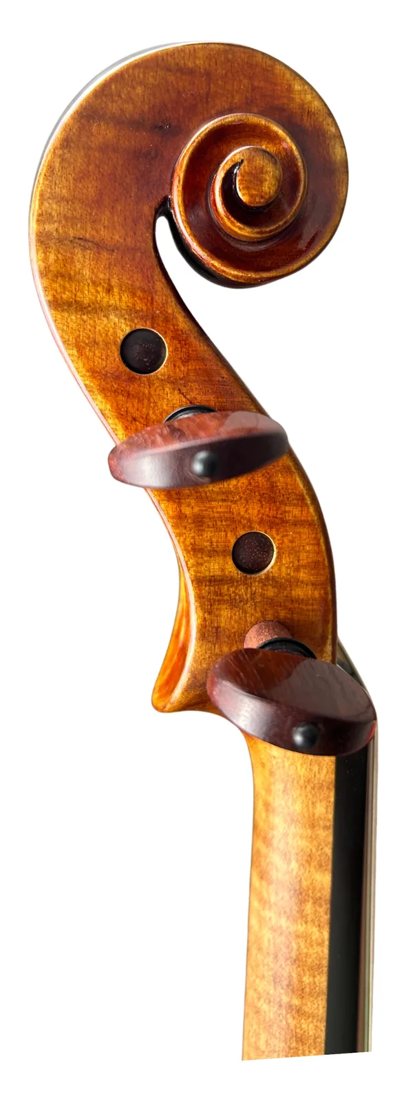 Instrument image 3