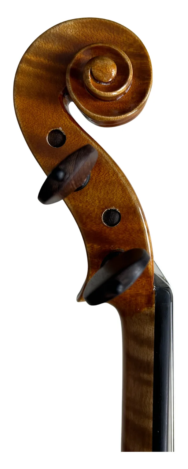 Instrument image 3