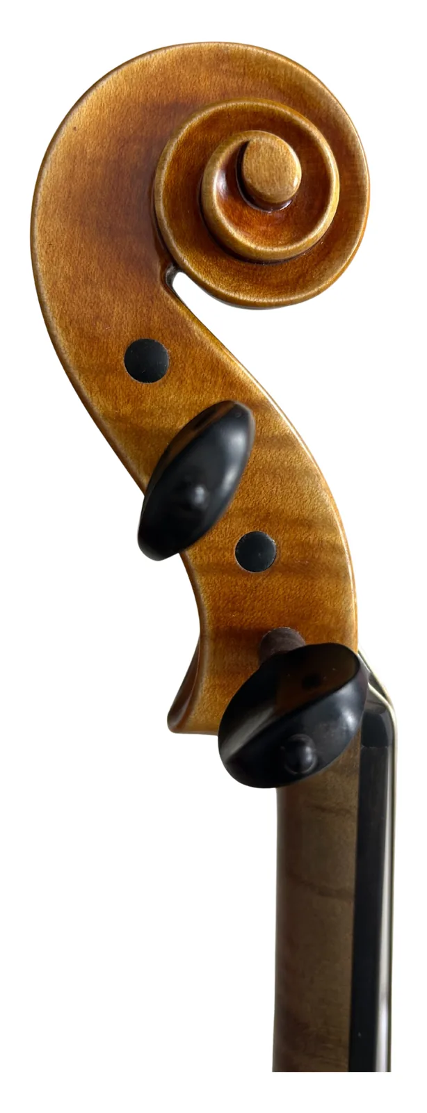 Instrument image 3